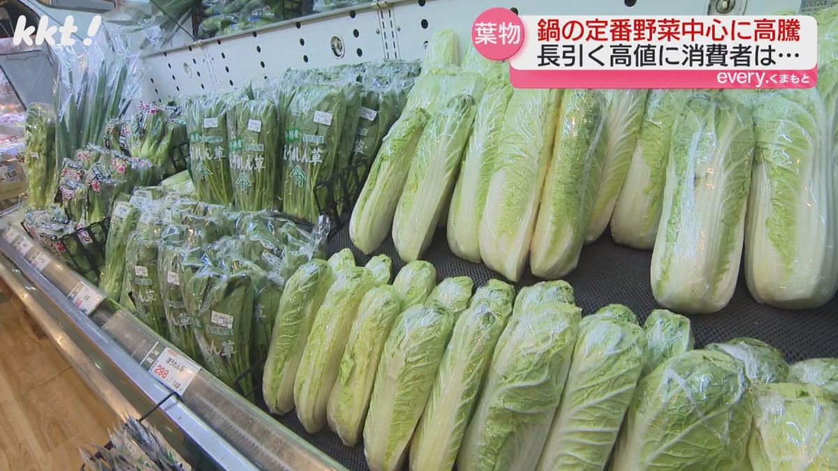 鍋料理が恋しくなる季節なのに…『野菜が高い』今のお手頃野菜は?