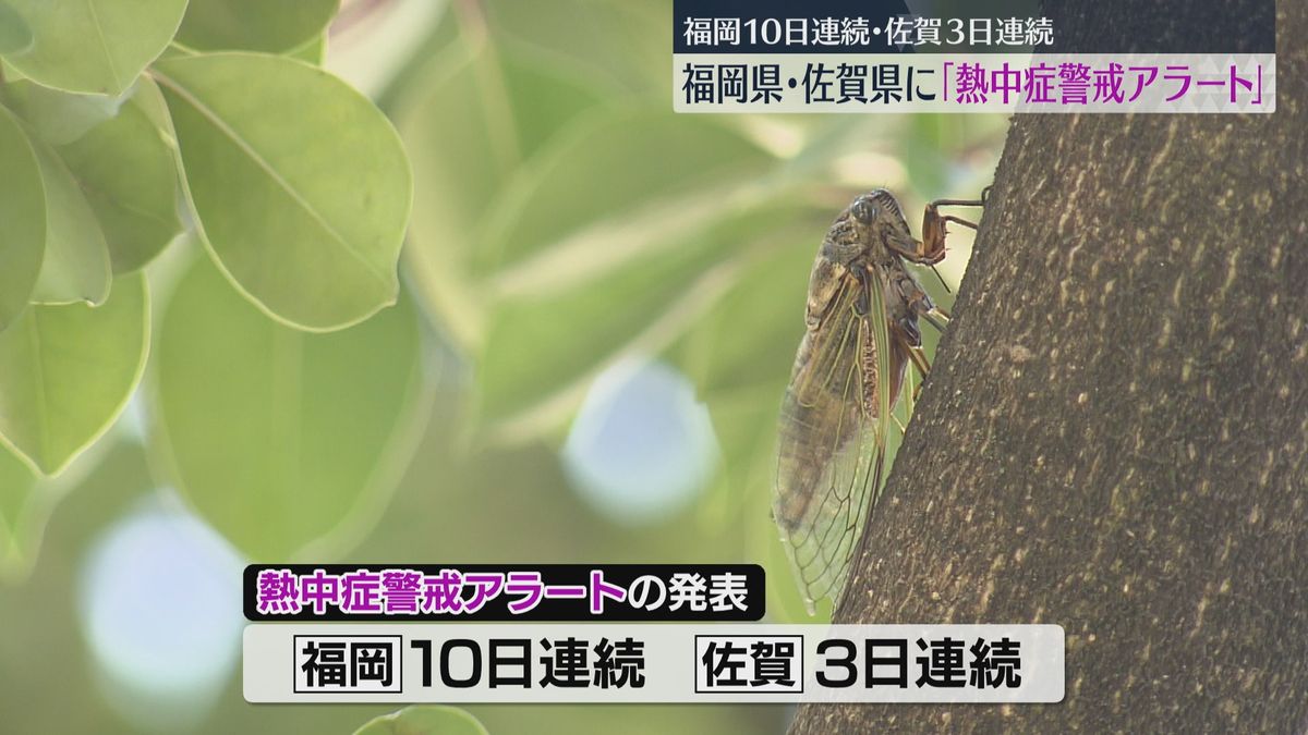 久留米で37℃の予想　福岡と佐賀に「熱中症警戒アラート」発表中　福岡は10日連続　佐賀は3日連続　