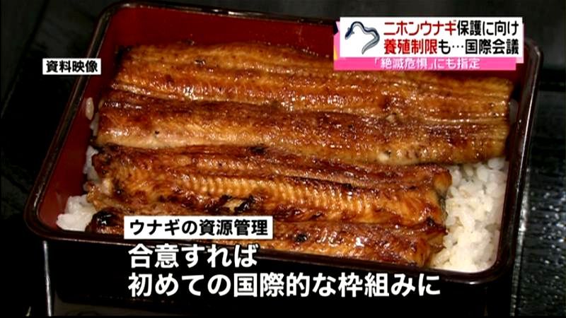 ニホンウナギ保護へ…“養殖制限”を提案