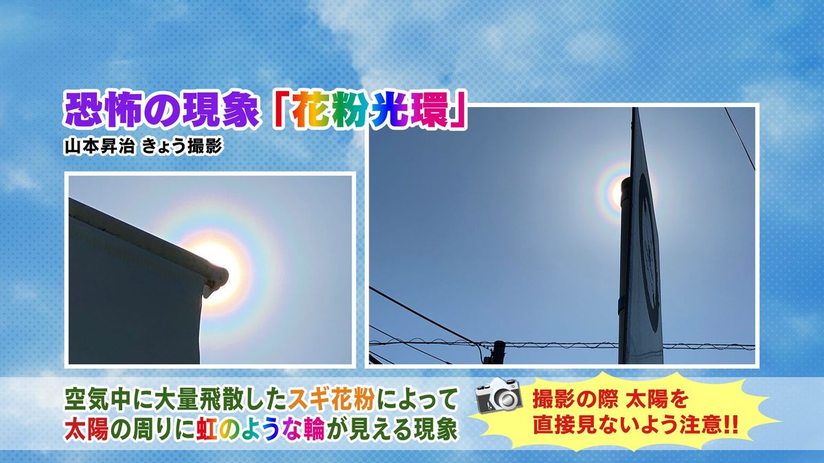 【山口天気 夕刊3/10】恐怖の現象「花粉光環」出現！今週しばらくは連日「極めて多い」花粉飛散続く　空模様は小刻みに変化