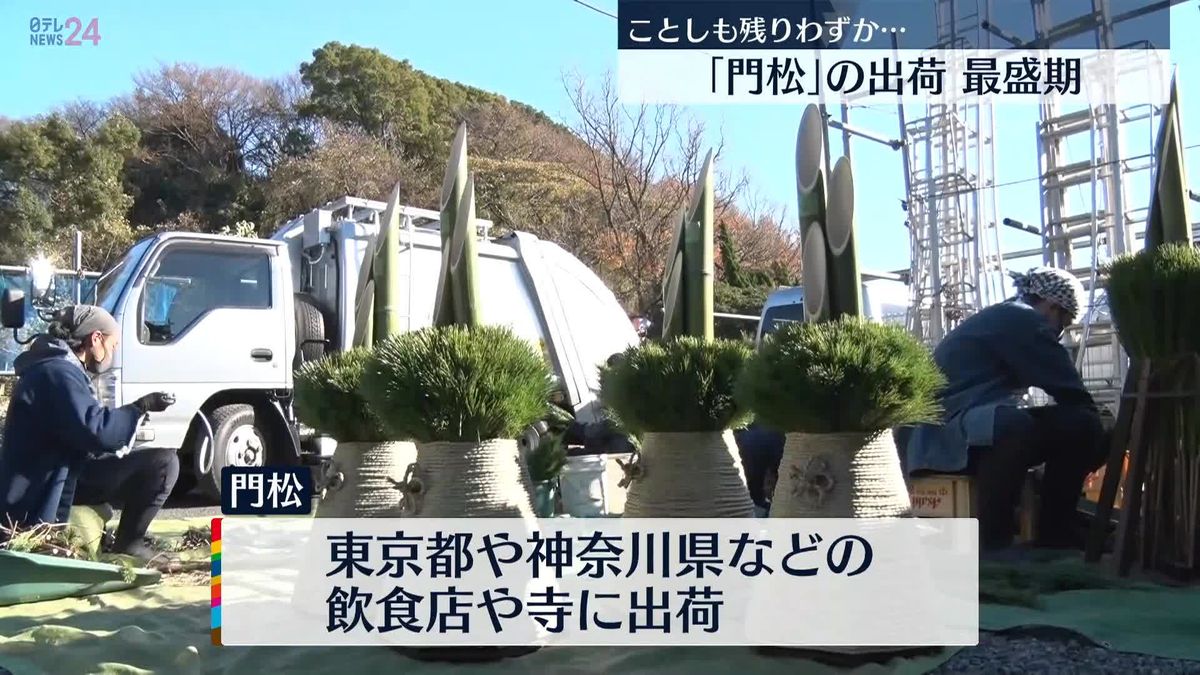 今年も残りわずか…お正月迎える門松の出荷が最盛期