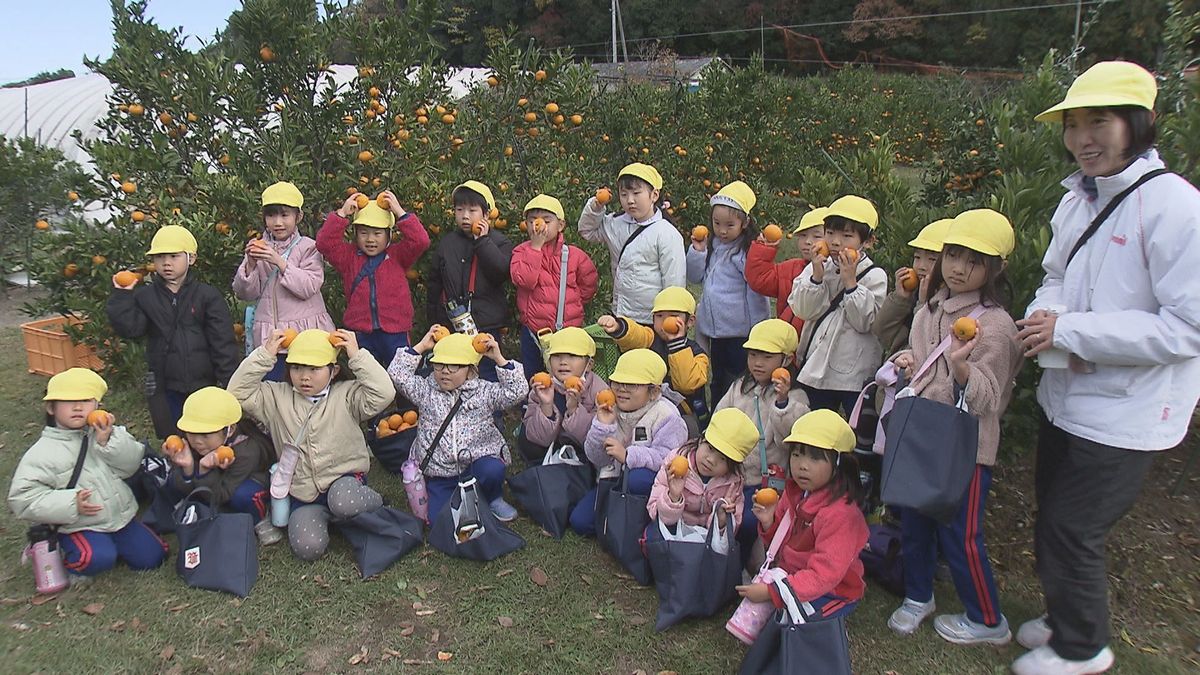 園児が冬の味覚・みかんの収穫体験　「大変だったけどいっぱい採った」大分