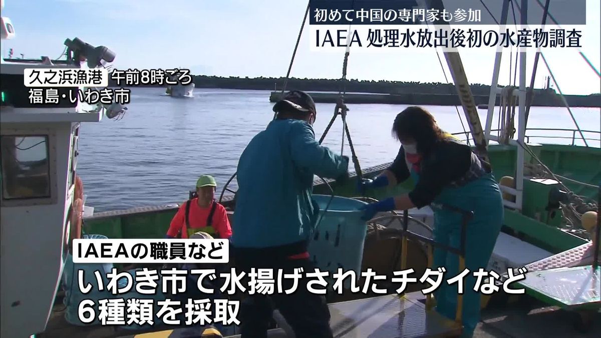 IAEA　処理水放出後初の水産物調査　初めて中国の専門家も参加　福島・いわき市