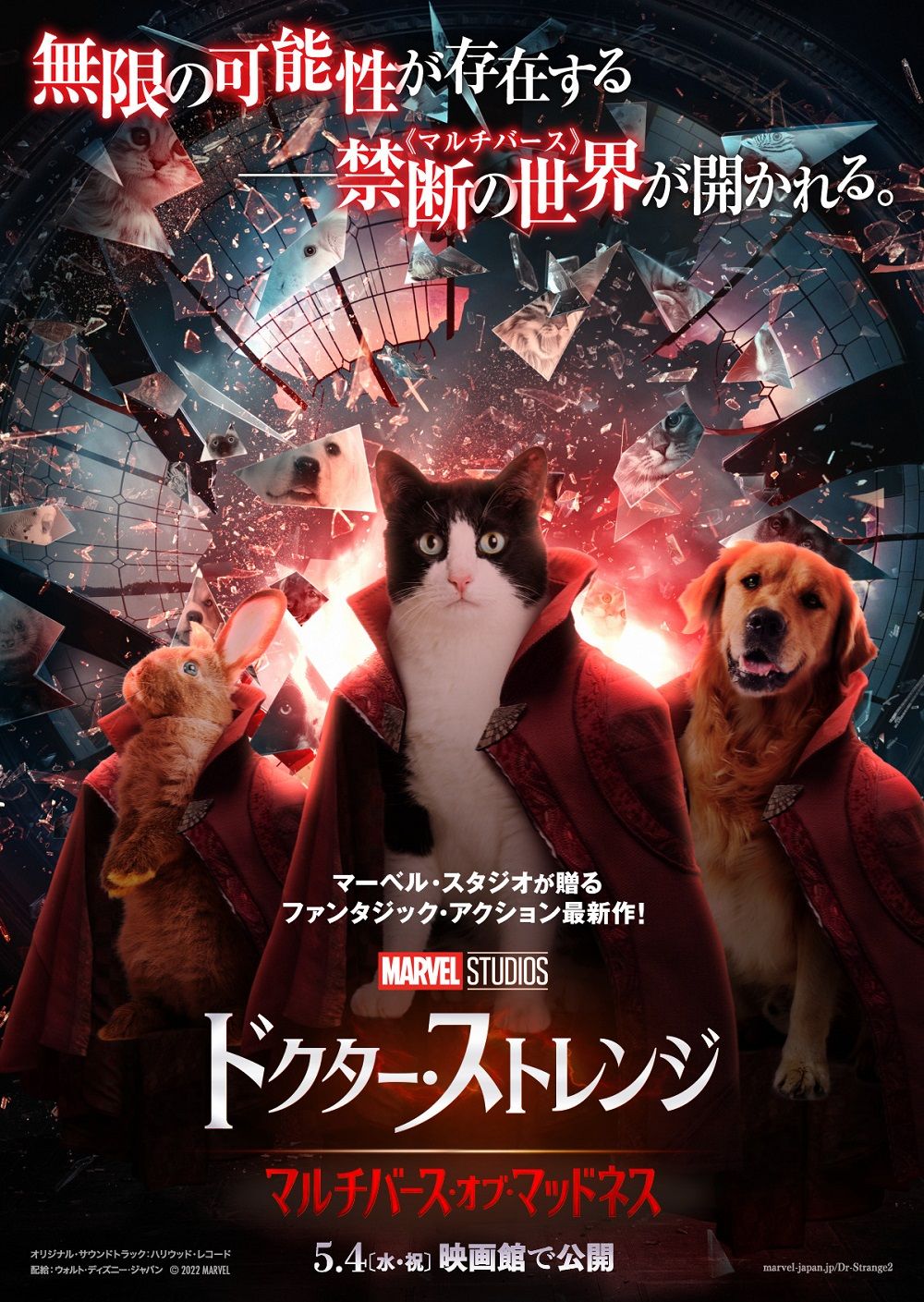 主人公の姿が “猫” や “犬” に… 『ドクター・ストレンジ』最新作 “ペットの日” に1日限りのポスター公開