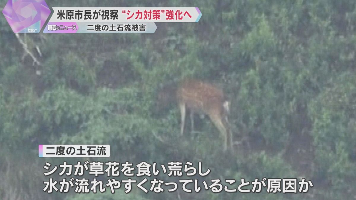 土石流の発生相次いだ滋賀県米原市「効果的な打開策講じる」市長が視察　原因のシカ駆除進める方針