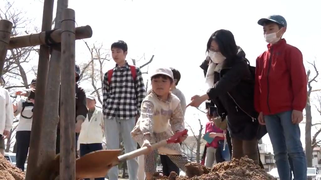 山形市で子どもたちがサクラ植樹　奉仕団体が企画
