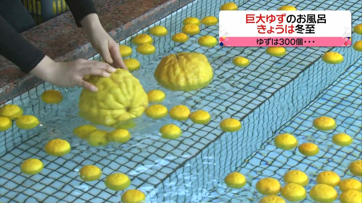 日本一大きい「鬼ユズ」を風呂に　三重