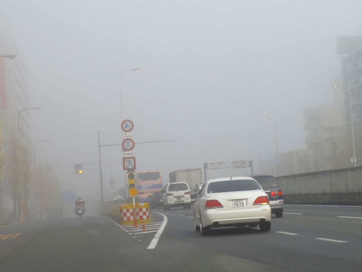 冷たい雨の関東　１５日朝は“濃霧”に注意
