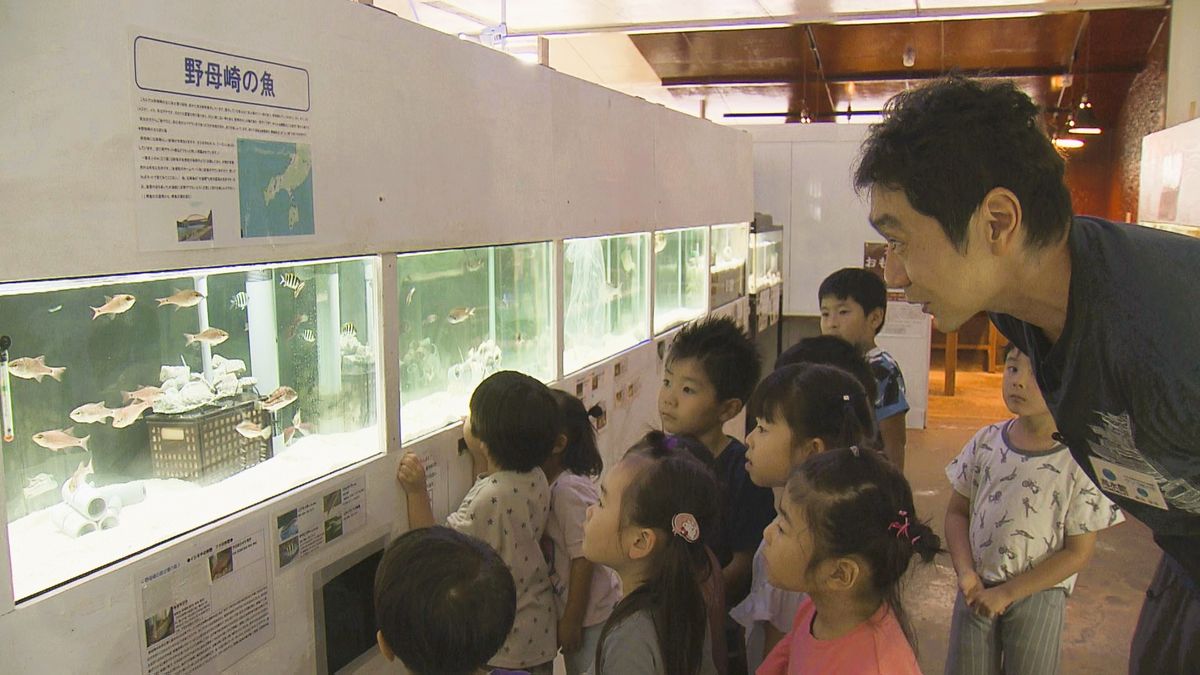 カラフルサンゴやコミカルに動く魚も！「のもざき小さな水族館」館長が目指すのは地域活性化《長崎》