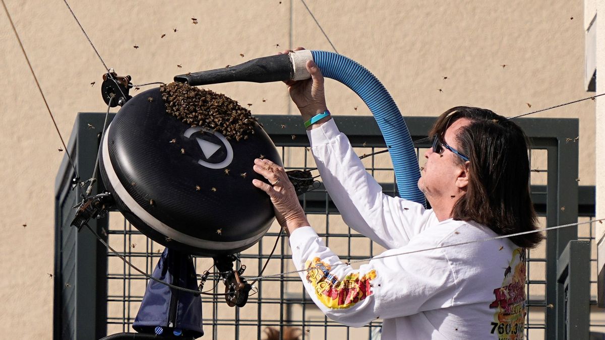 テニスで“珍事”　大量のハチ襲来で前回王者も苦笑い　現地の養蜂家が素手で対処　BNPパリバ・オープン