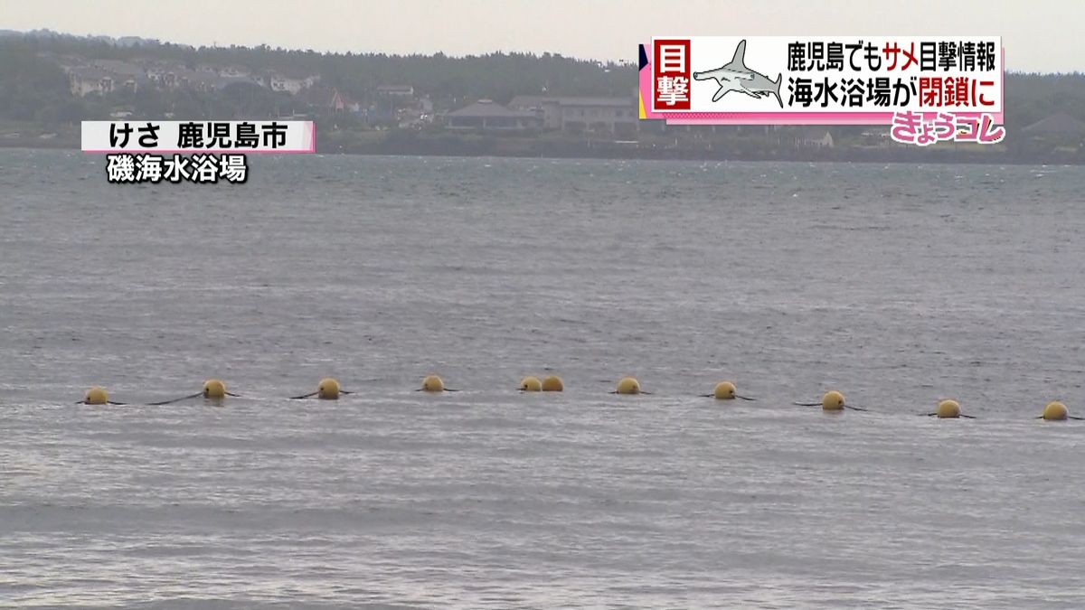 鹿児島でもサメ目撃情報　海水浴場が閉鎖に