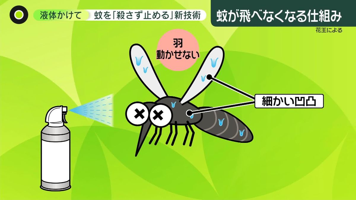 “殺虫”せずに蚊を「ノックダウン」　“飛べなくなる”新技術を発表　感染症のリスク高まる夏