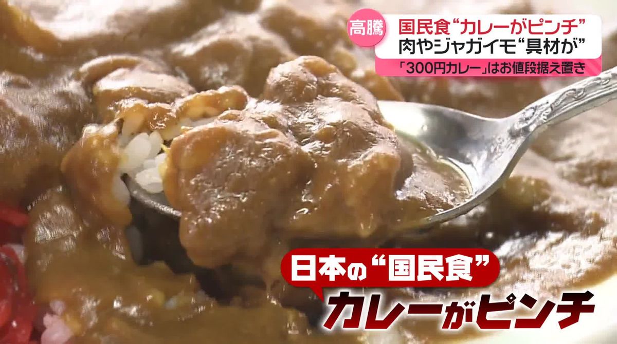 国民食「カレー」が“ピンチ”　ジャガイモや肉…具材が“高騰”　どう乗り切る？