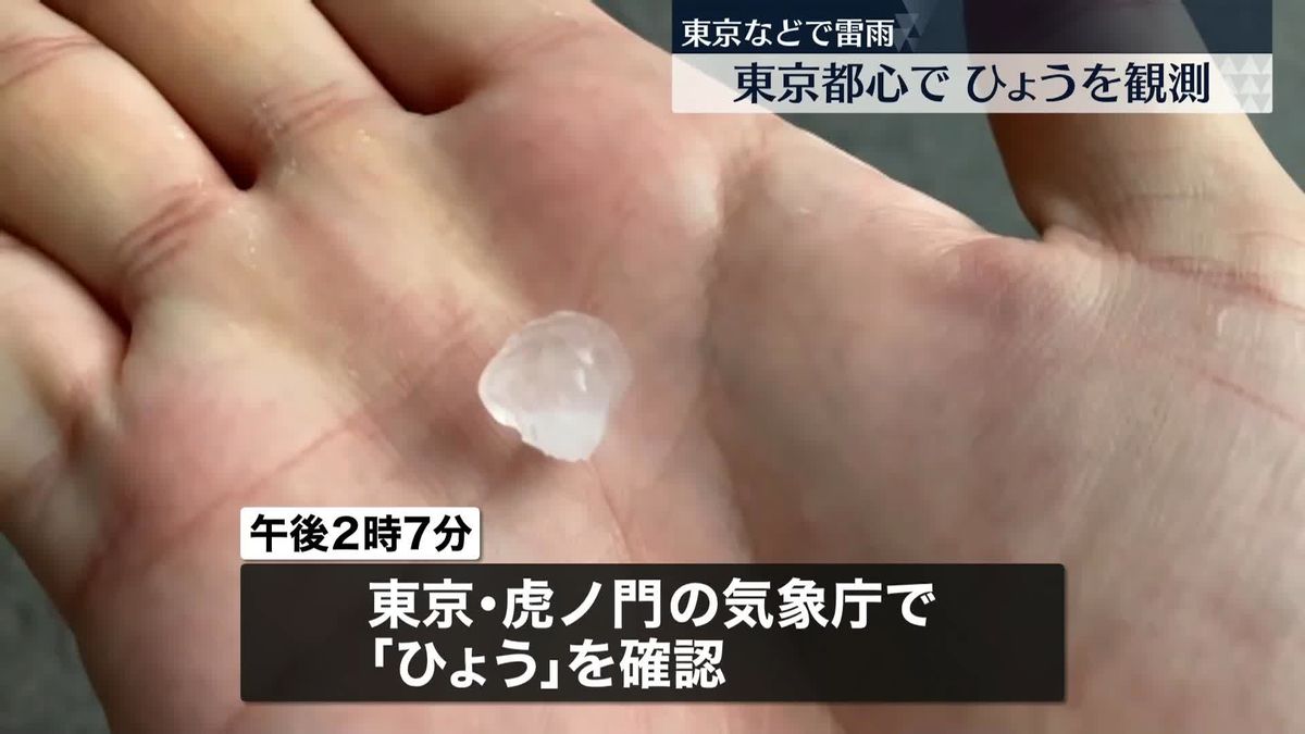 関東地方は大気不安定…東京都心で“ひょう”観測　雷を伴う激しい雨も