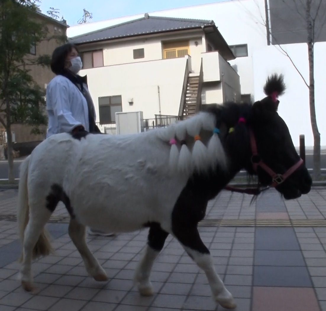 相葉雅紀「僕が抱っこした子があんなに幸せそうな…」　約4年前に会ったミニチュアホースに感激