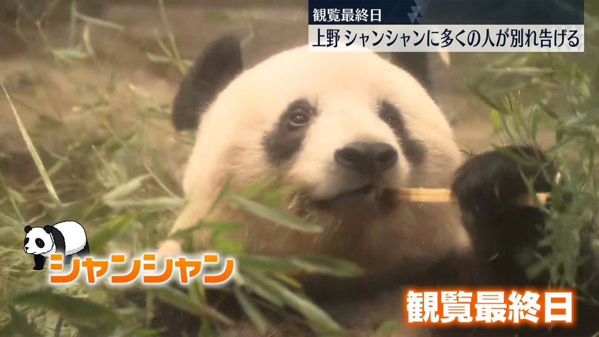 シャンシャン観覧最終日　多くの人がお別れに「最後で悲しいけれど…今までありがとうって」　上野動物園