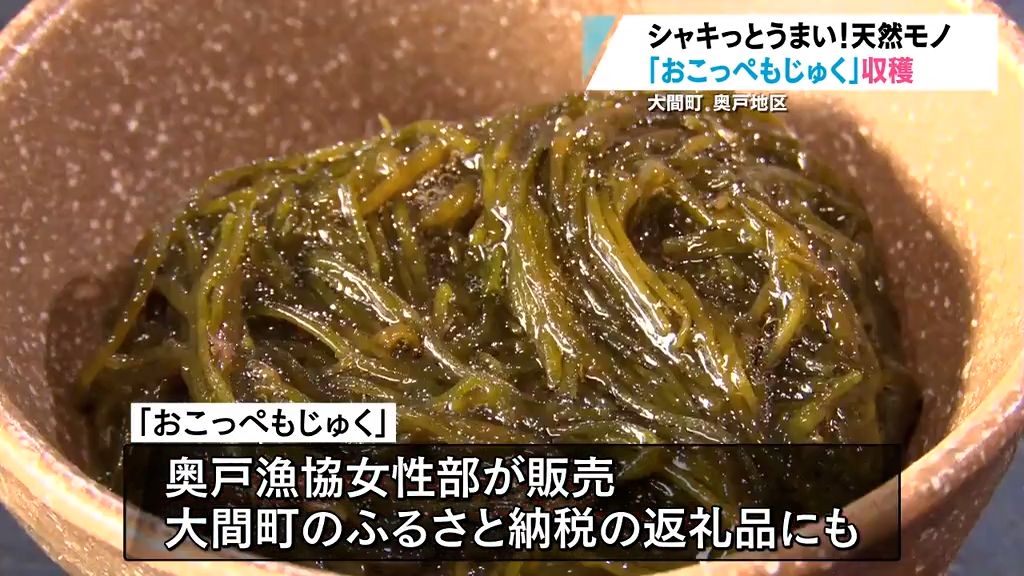 津軽海峡の荒波にもまれシャキっとうまい！「おこっぺもじゅく」収穫始まる　大間町