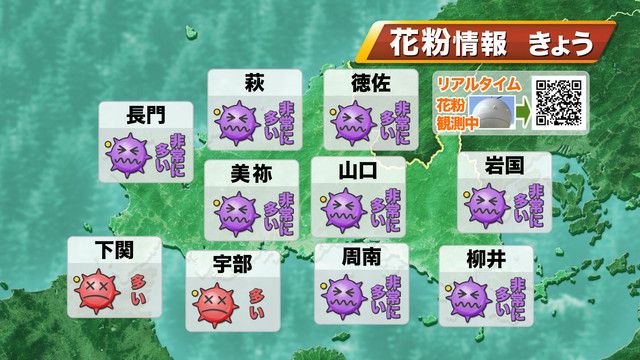 ７日（木）の花粉情報