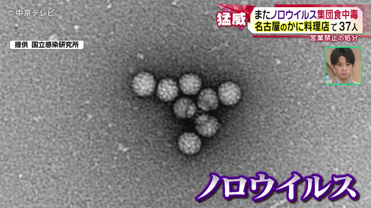 ノロウイルスの集団食中毒　名古屋のかに料理店で37人　感染が広がりやすい時期に注意するべきこと