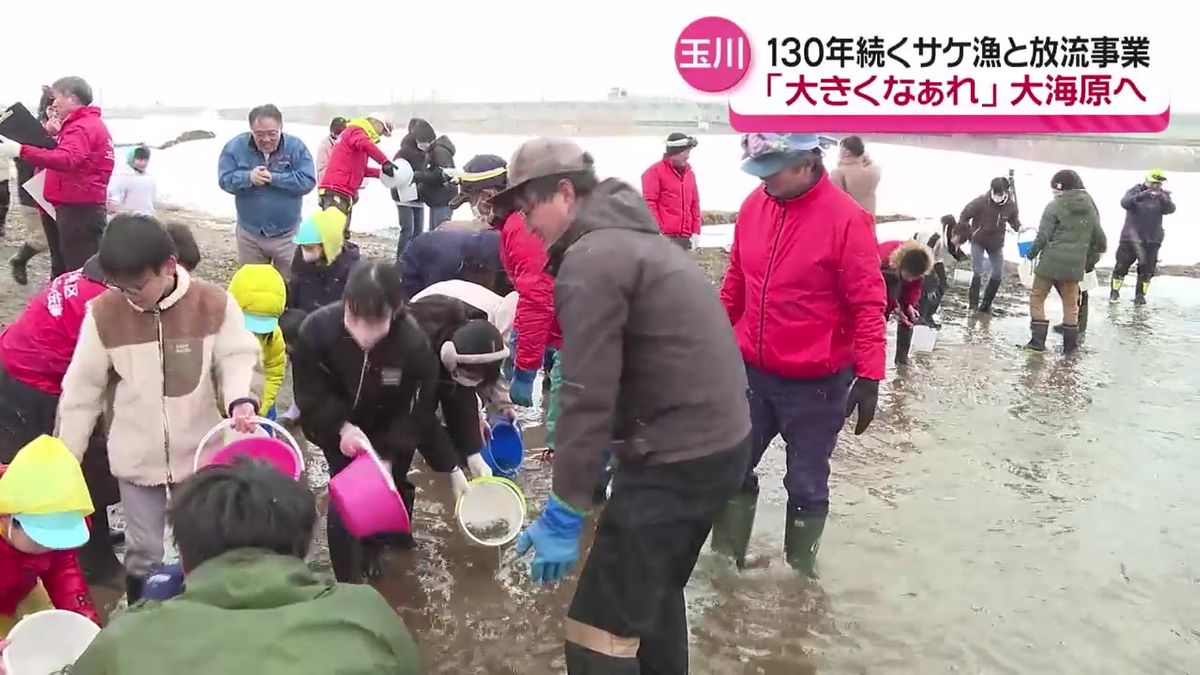 サケのようにたくましく育って！卒業卒園を控えた子どもたちが稚魚の放流　秋田・大仙市