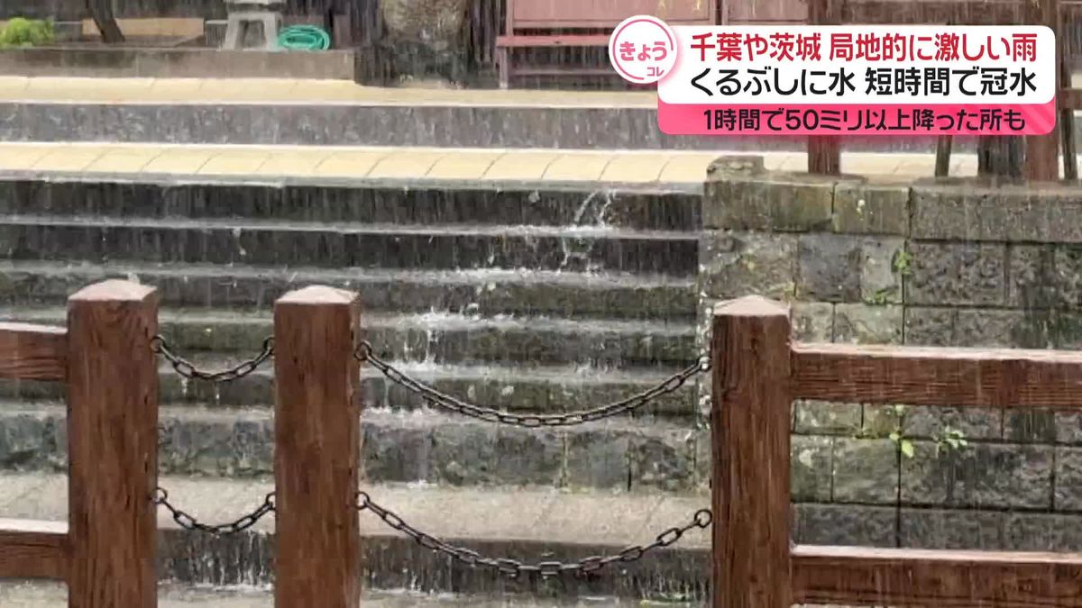 千葉や茨城で局地的に激しい雨　西日本では真夏日続出　19日は東京都心で観測史上最も遅い30℃予想も…