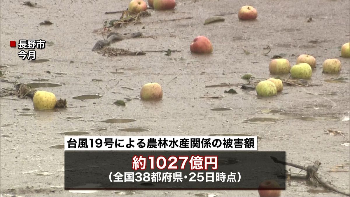 台風１９号　農水の被害額１０００億円超