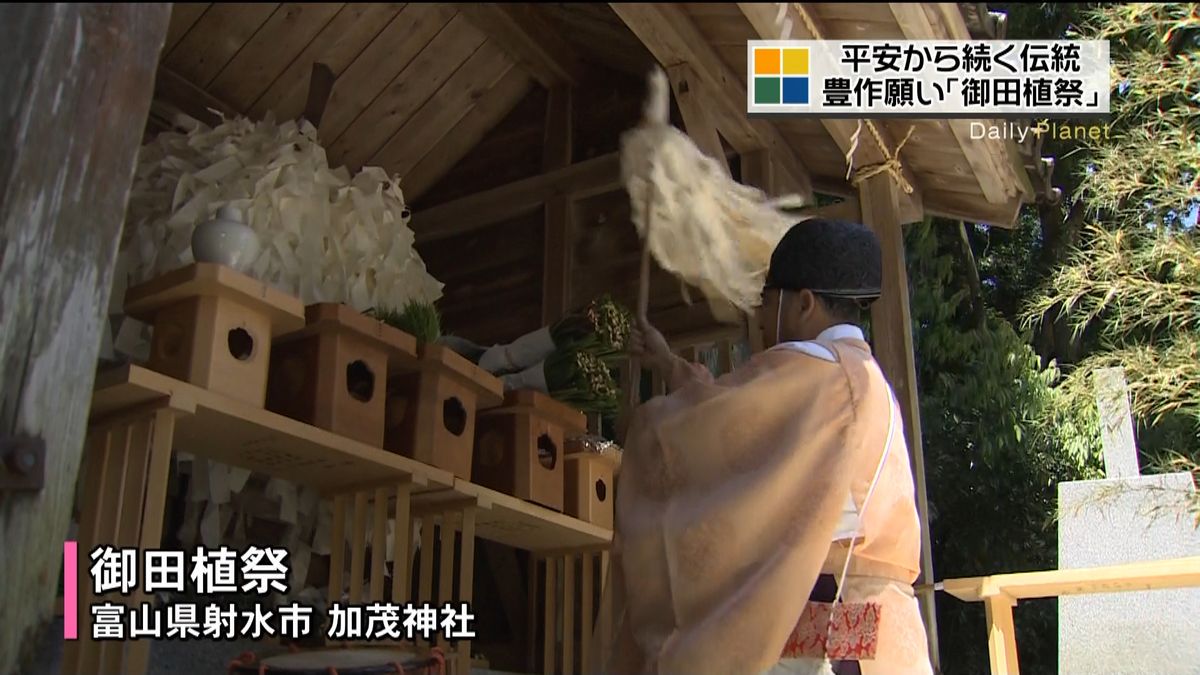 平安時代から続く伝統の「御田植祭」富山