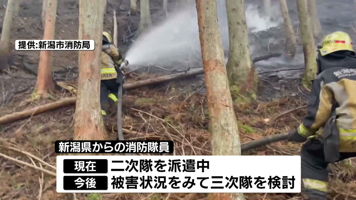 岩手県大船渡の山林火災　新潟県から一次隊168人派遣　現地での活動を報告「急斜面をなめるように炎が降りてきている」《新潟》