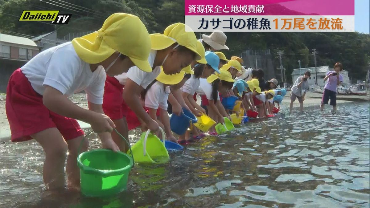 【資源保全･地域貢献】大田子海岸で園児らがカサゴ稚魚１万尾を放流（静岡･西伊豆町）