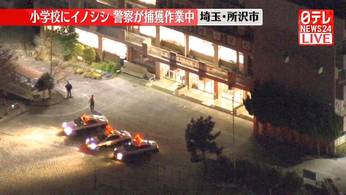 【速報】埼玉･所沢市の小学校にイノシシ　警察が捕獲作業中