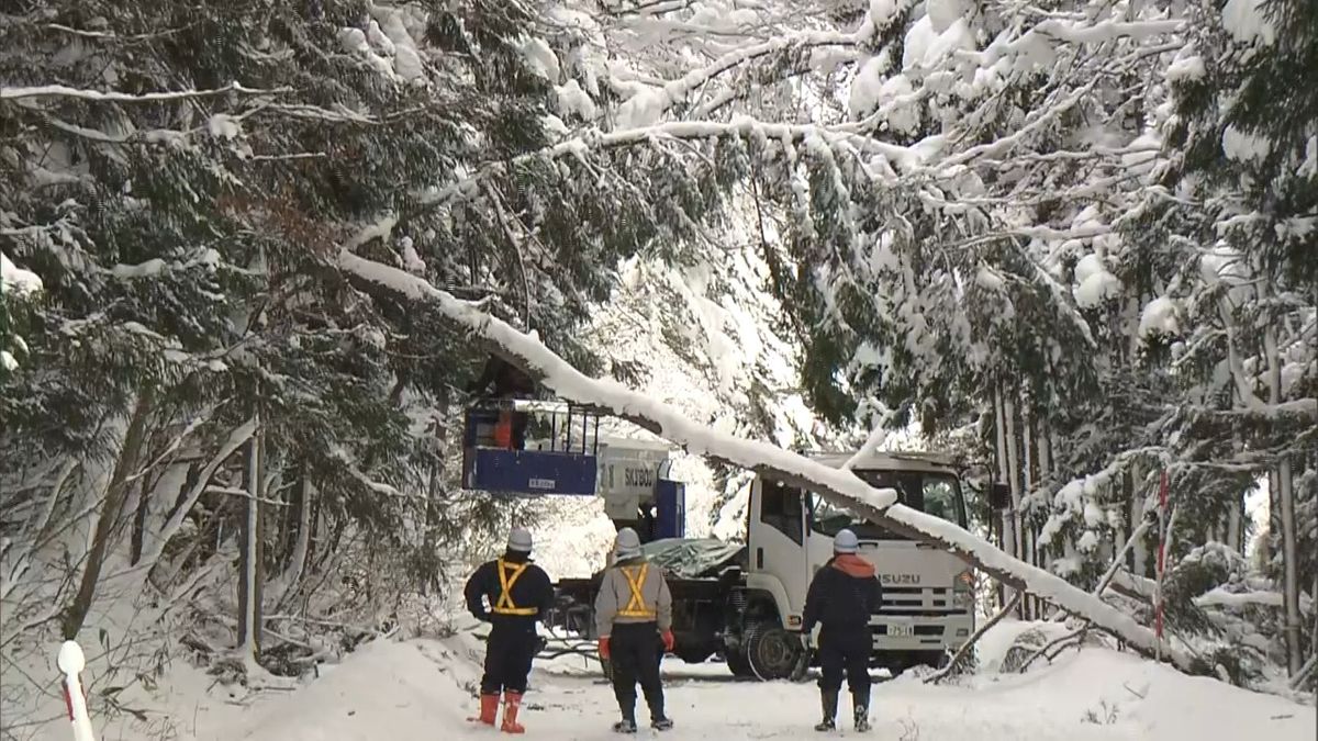 2022年12月　青森県では倒木と列車の接触事故が発生。