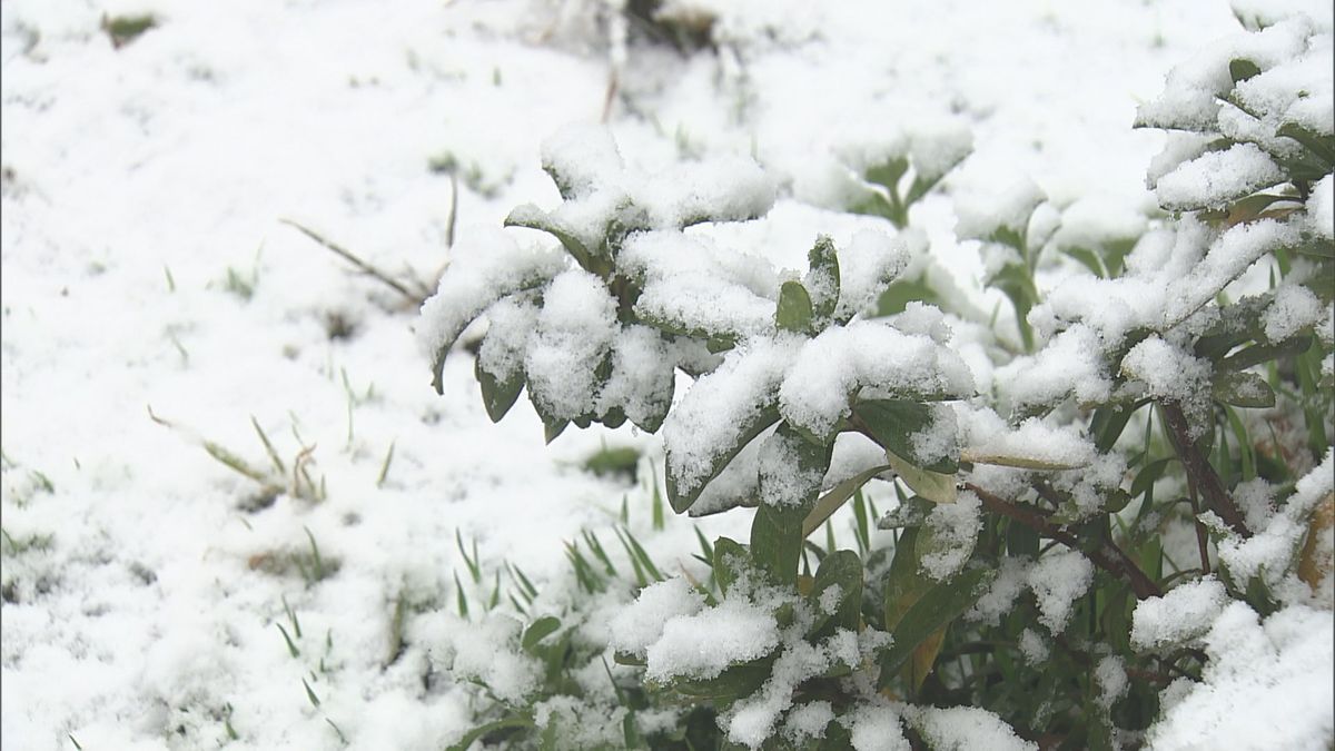 【気象台】福岡で8日朝にかけて山地・平地ともに大雪の恐れ　暴風雪と高波にも警戒を　降雪量の予想を詳しく