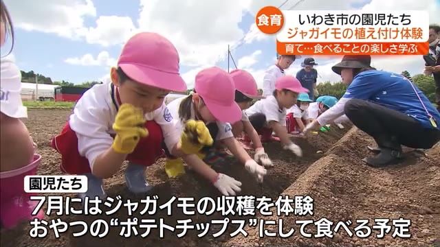 「収穫できたらおやつはポテトチップスよ」いわき市の園児たちが植え付け体験・福島県
