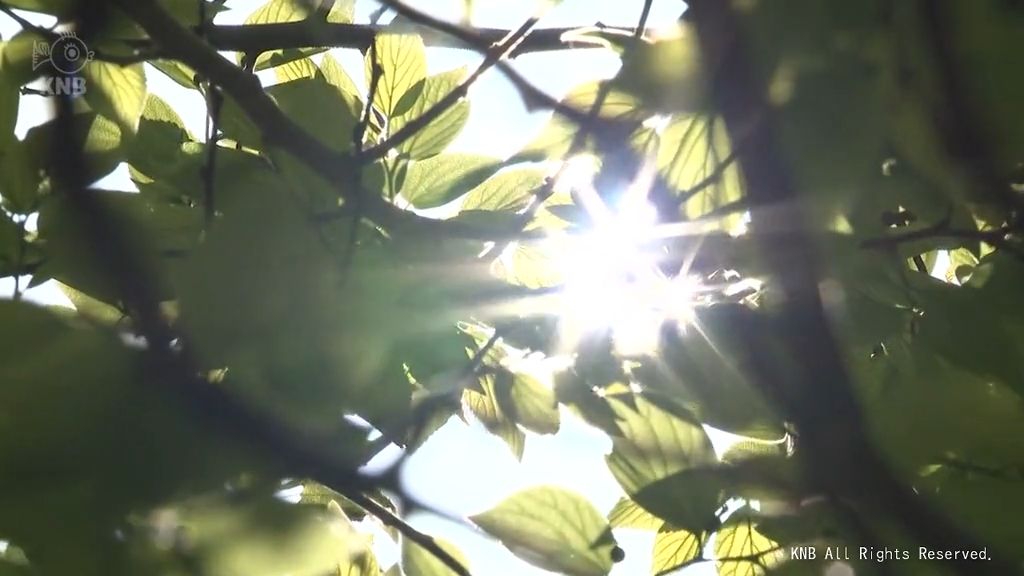 富山県内各地で27度越え　8地点で夏日に　汗ばむ陽気