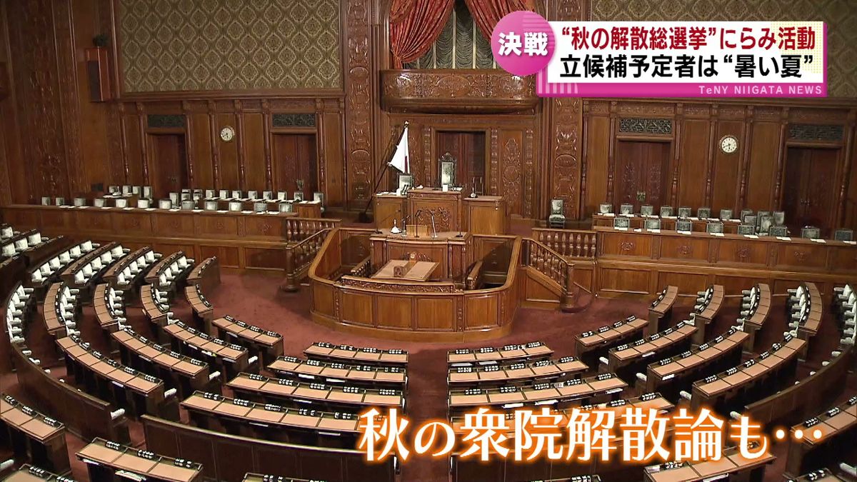 岸田首相の突然の不出馬表明　自民総裁選後 “秋の解散総選挙”にらみ活動　立候補予定者は“暑い夏” 《新潟》