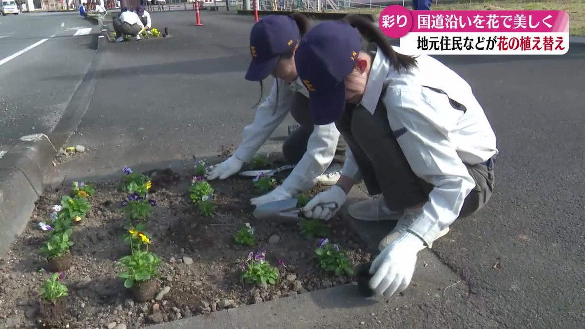 『訪れた人たちに気持ちよく通ってほしい』 四万十市の国道で花の植え替え【高知】