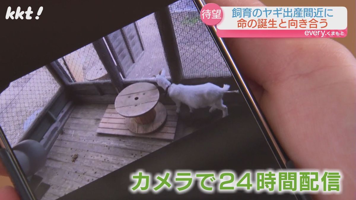 小屋内を24時間配信