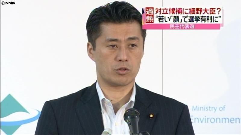 党首選が活発化…「選挙の顔」求める動きも