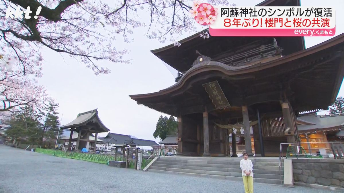 桜吹雪に幻想的な光景も…楼門復旧後初の｢桜満開｣阿蘇神社から中継