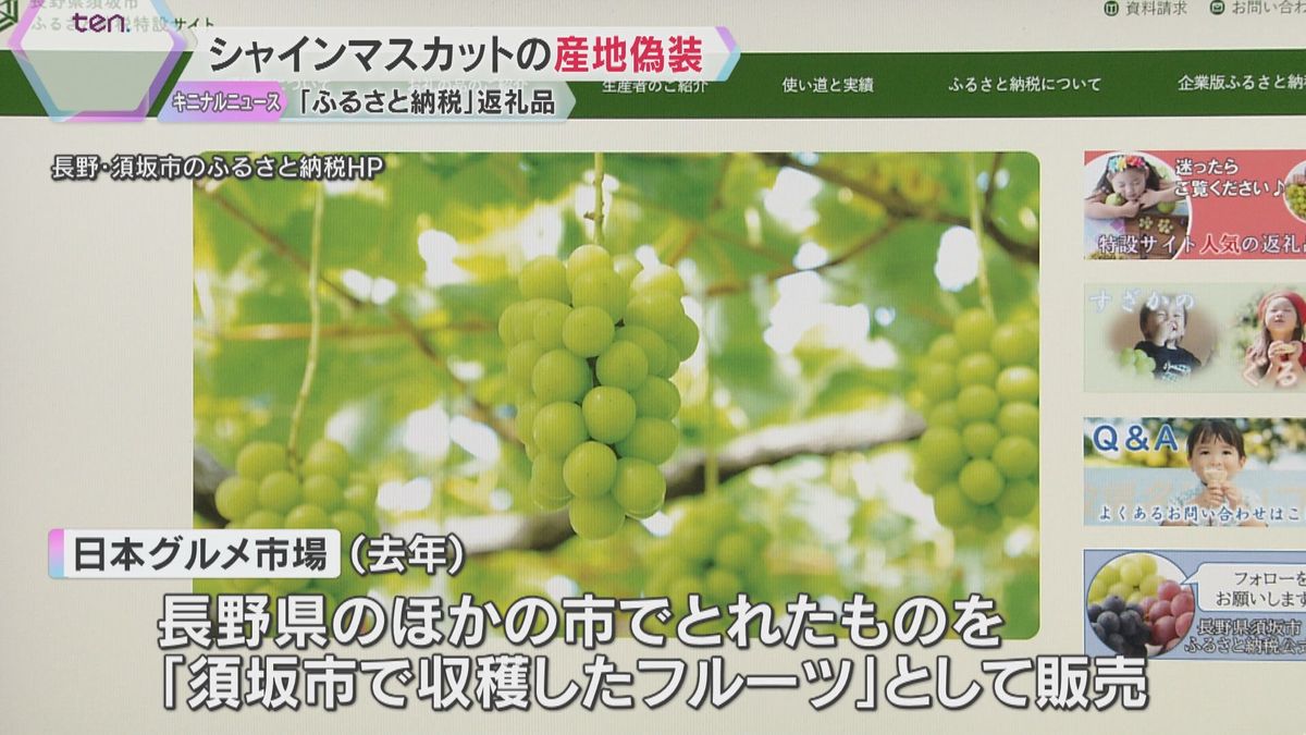 「正しく表示しなければいけないという認識が欠如」ふるさと納税返礼品のシャインマスカットの産地偽装　和歌山県の業者