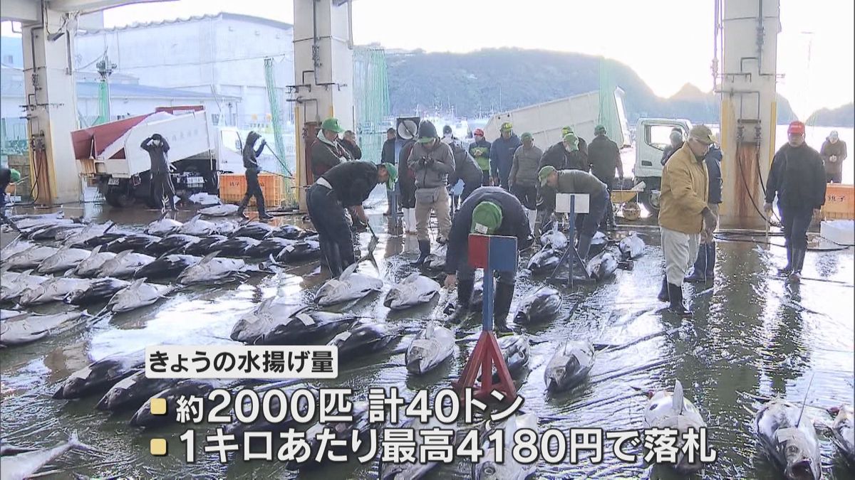 「ヘビーな年に」新春恒例　生マグロの初競り　１キロ当たり最高４１８０円　和歌山・勝浦漁港