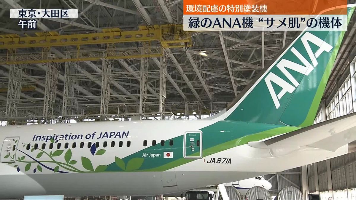 緑の特別塗装機「ANA Green Jet」りんごジュース“搾りかす”をヘッドレストカバーに