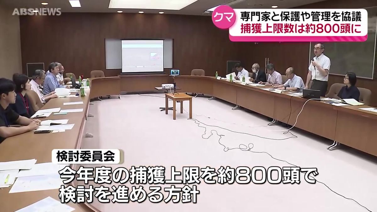 今年度のクマ捕獲の上限数を県と専門家が協議　