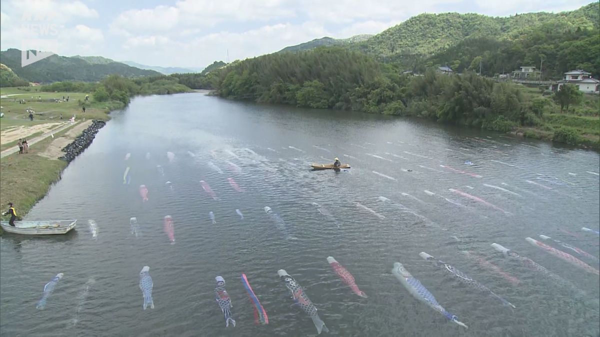 清流を泳ぐ約120匹のこいのぼり…防府・佐波川で「こいながし」・5日まで