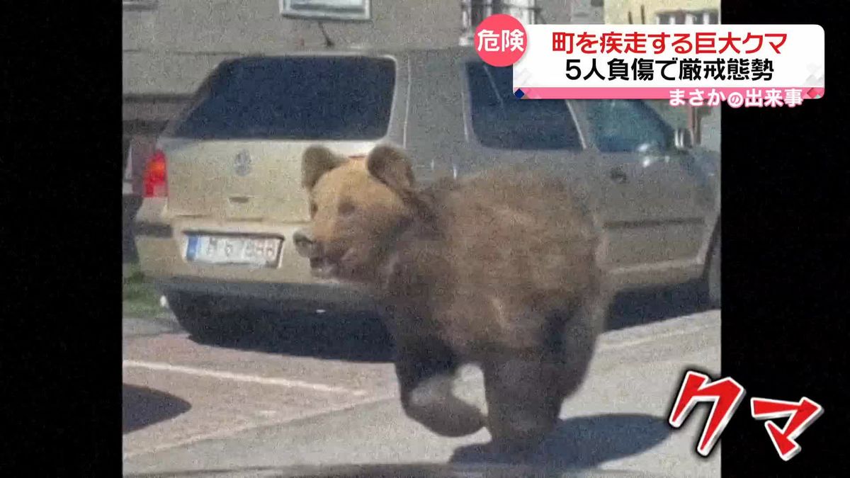 「気をつけろ！走って隠れろ！」…巨大な「クマ」が町を疾走　5人襲われ“非常事態宣言”　スロバキア