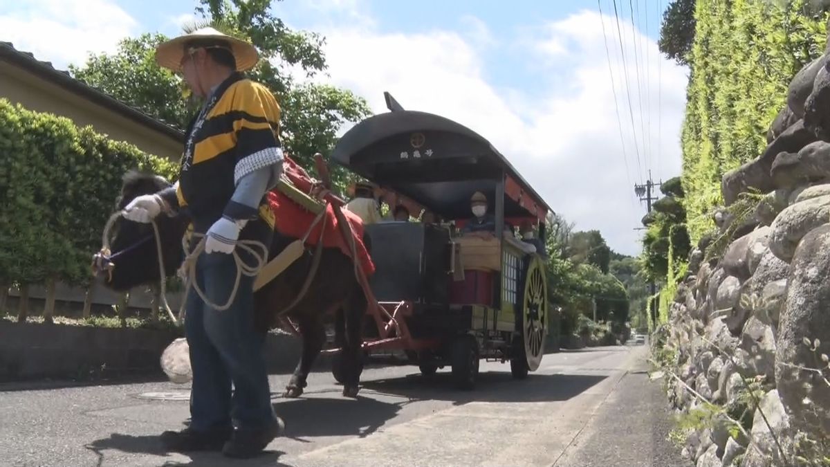 ＧＷ後半 観光牛車で巡る出水麓武家屋敷群 5日､6日も運行