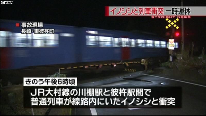 走行中のＪＲ列車がイノシシと衝突　長崎