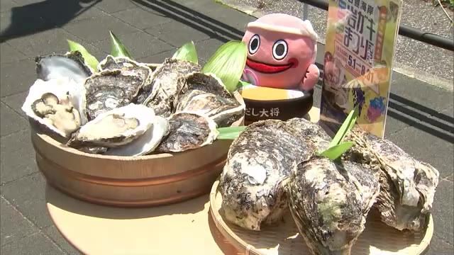 佐伯と宮崎県で「日豊海岸岩ガキまつり」開催中　大分