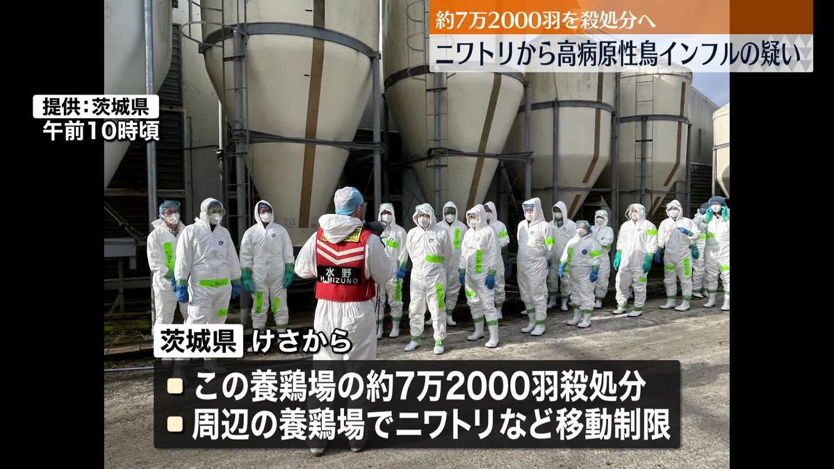 茨城・笠間市の養鶏場で「鳥インフルエンザ」陽性確認　約7万2000羽の殺処分始まる