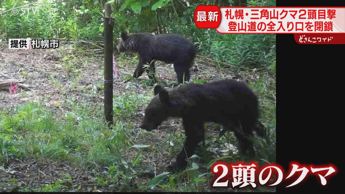 緊急…札幌市三角山の全登山道を２０日まで閉鎖…けさ９時ごろ無人カメラにクマ２頭映る